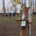 Mesteceni plantați în memoria celor dragi, într-un parc din Lugoj