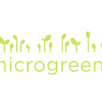 MICROGREENS